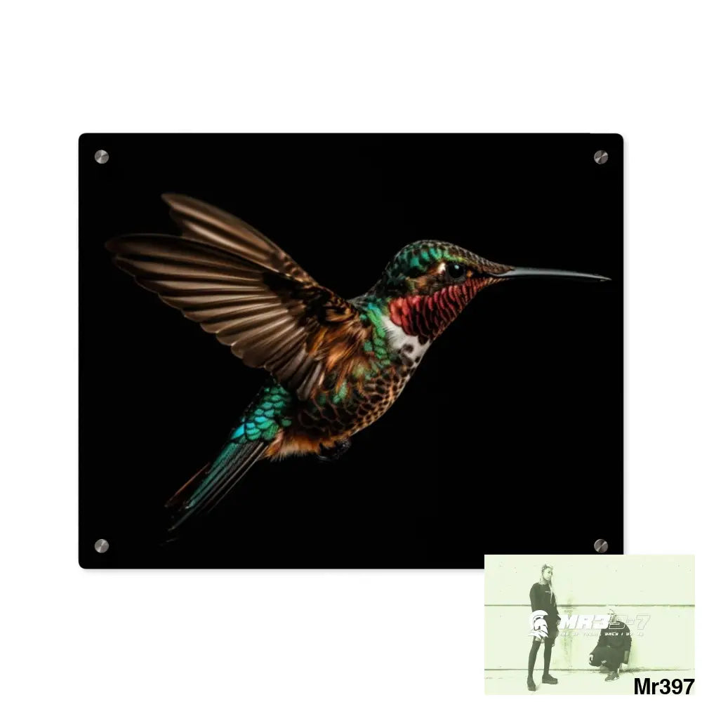 Colourful Hummingbird in Flight with Wings Spread Wide Open acrylic Art Panels 20″ x 16″ (Horizontal) / 0.25’’ Home