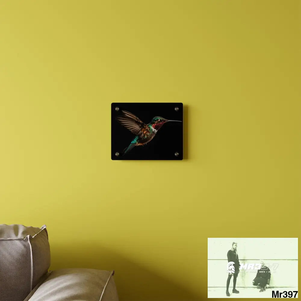 Colourful Hummingbird in Flight with Wings Spread Wide Open acrylic Art Panels Home Decor