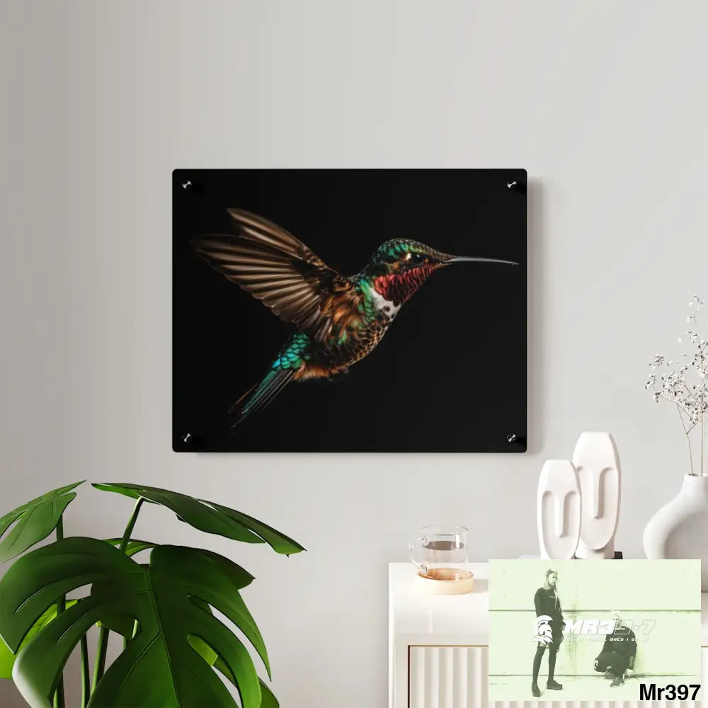 Colourful Hummingbird in Flight with Wings Spread Wide Open acrylic Art Panels Home Decor