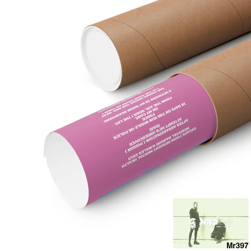 Copy of A1 4 A Reason Escape from Hergest MH Hospital 2013 Matte Vertical Posters Poster