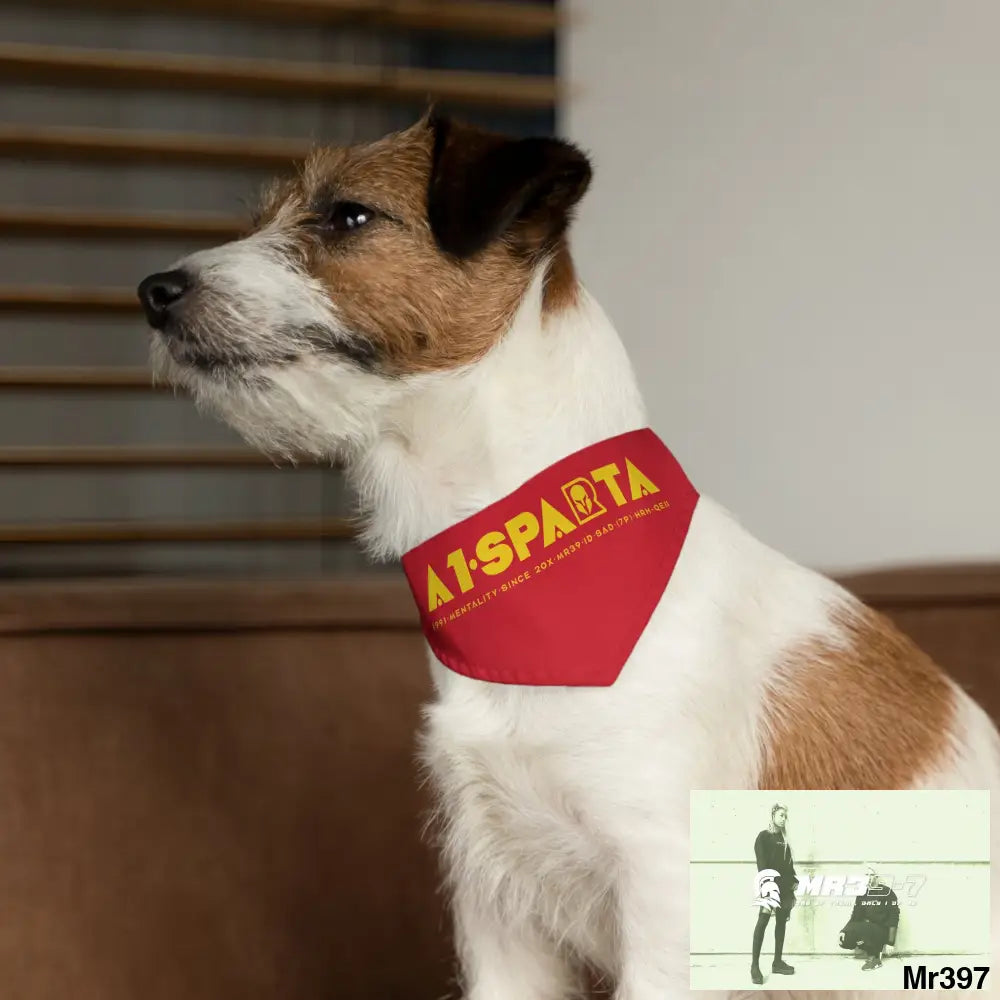 Copy of A1--Sparta Pet Bandana Collar Pets
