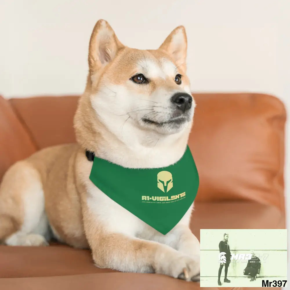 Copy of Copy of A1-Vigilante-Sparta Pet Bandana Collar Pets