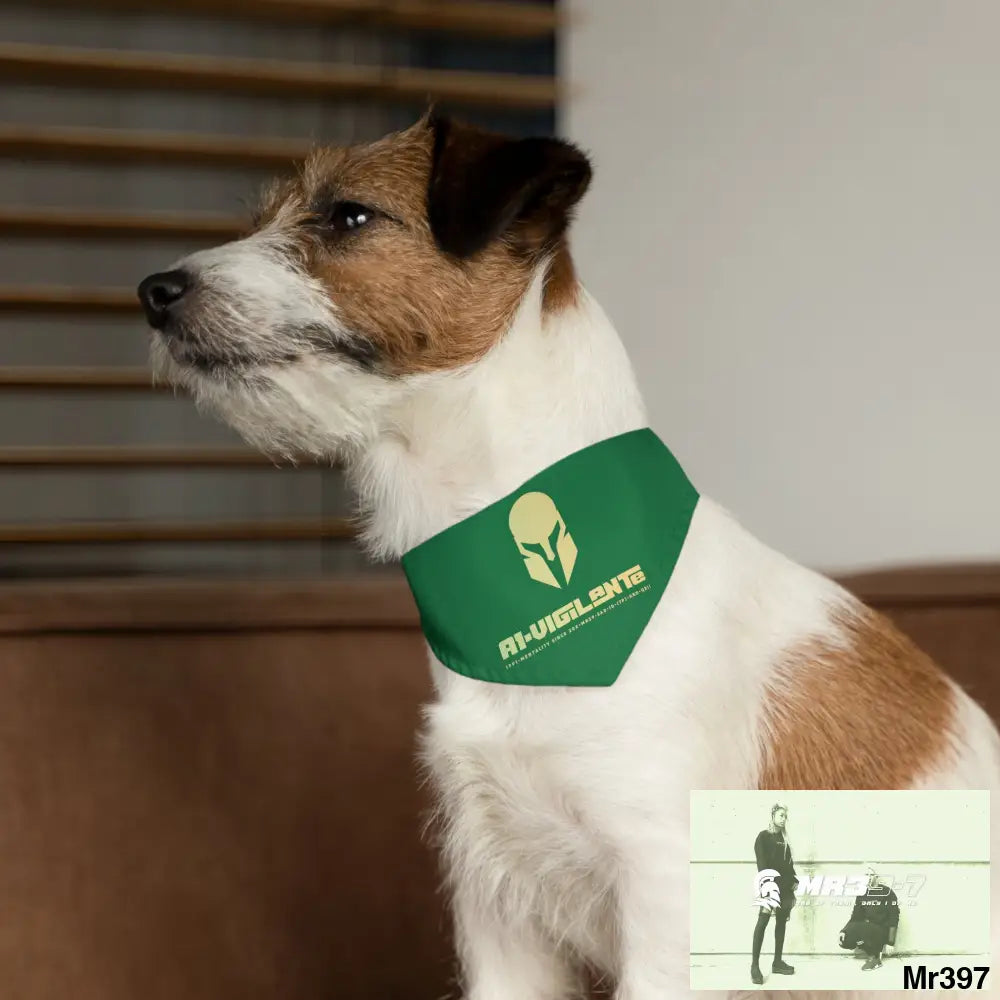 Copy of Copy of A1-Vigilante-Sparta Pet Bandana Collar Pets