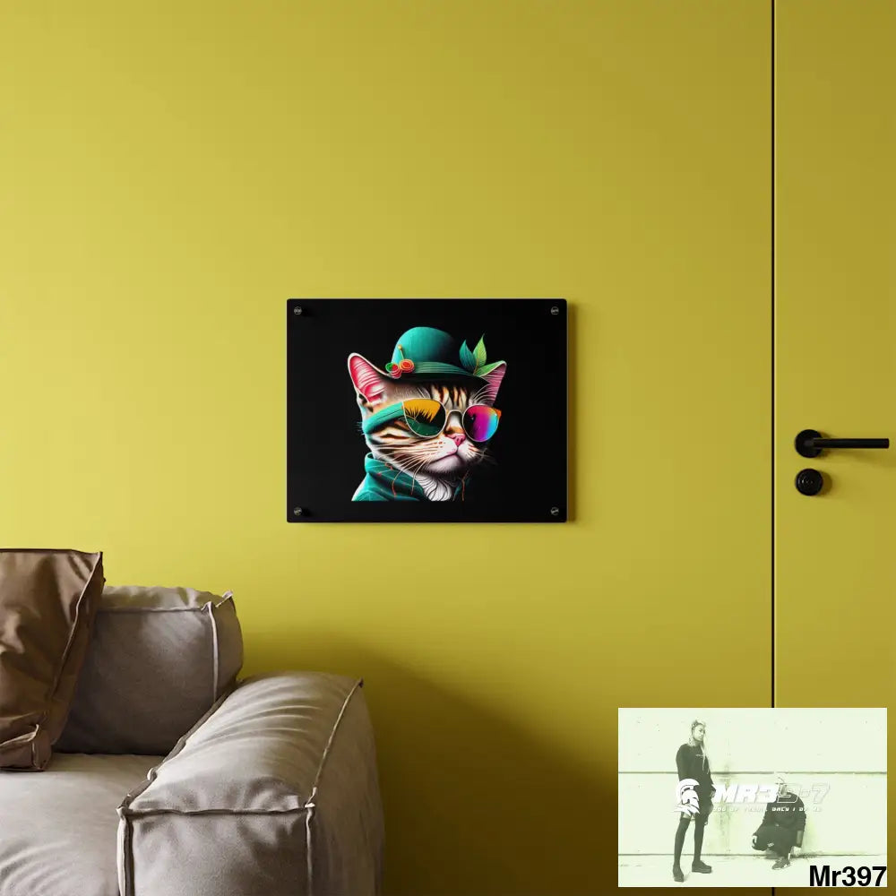 Dancing Cat with Sunglasses and Hat acrylic Art Panels Home Decor