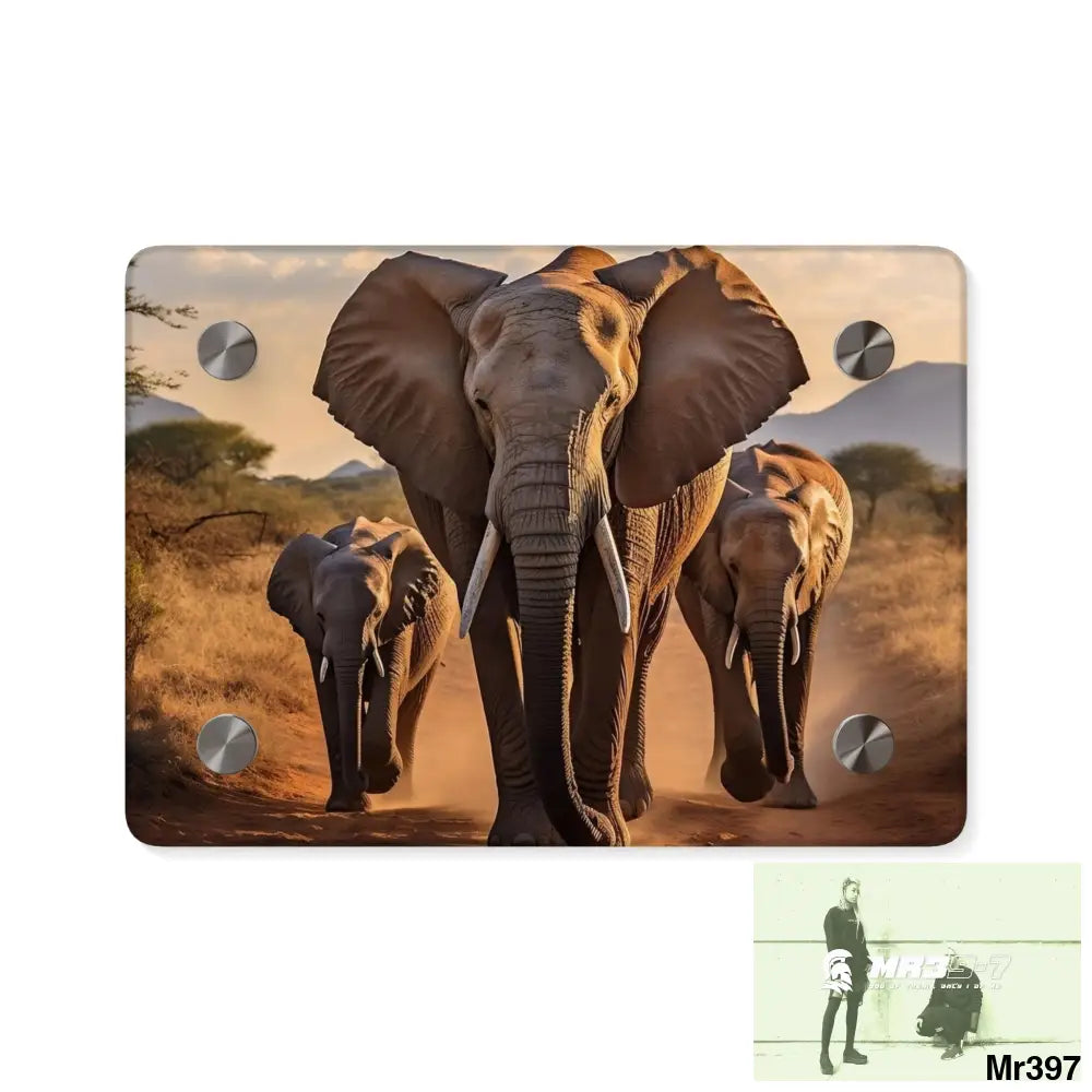 Group of Elephants Walking in the Wilderness Acrylic Wall Art Panels 7’’ x 5’’ (Horizontal) / 0.25’’ Home Decor