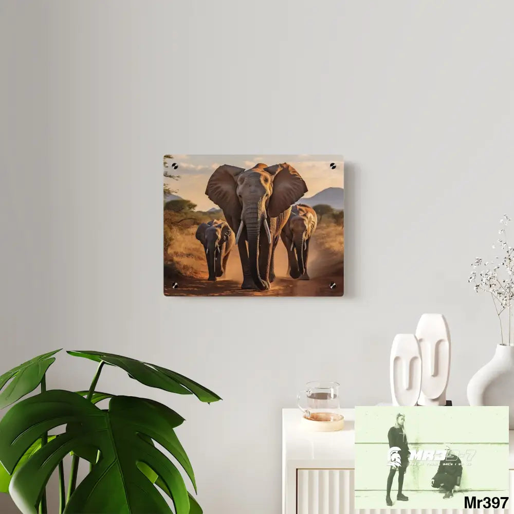Group of Elephants Walking in the Wilderness Acrylic Wall Art Panels Home Decor