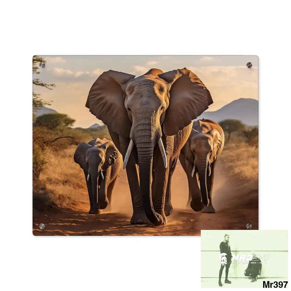 Group of Elephants Walking in the Wilderness Acrylic Wall Art Panels Home Decor