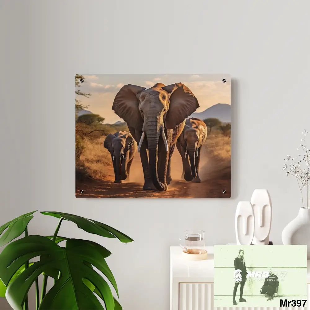 Group of Elephants Walking in the Wilderness Acrylic Wall Art Panels Home Decor
