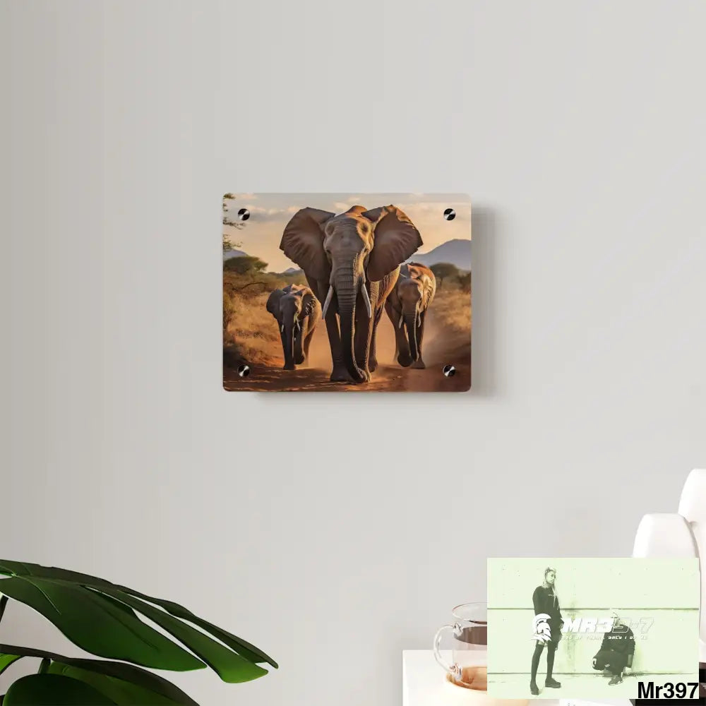 Group of Elephants Walking in the Wilderness Acrylic Wall Art Panels Home Decor