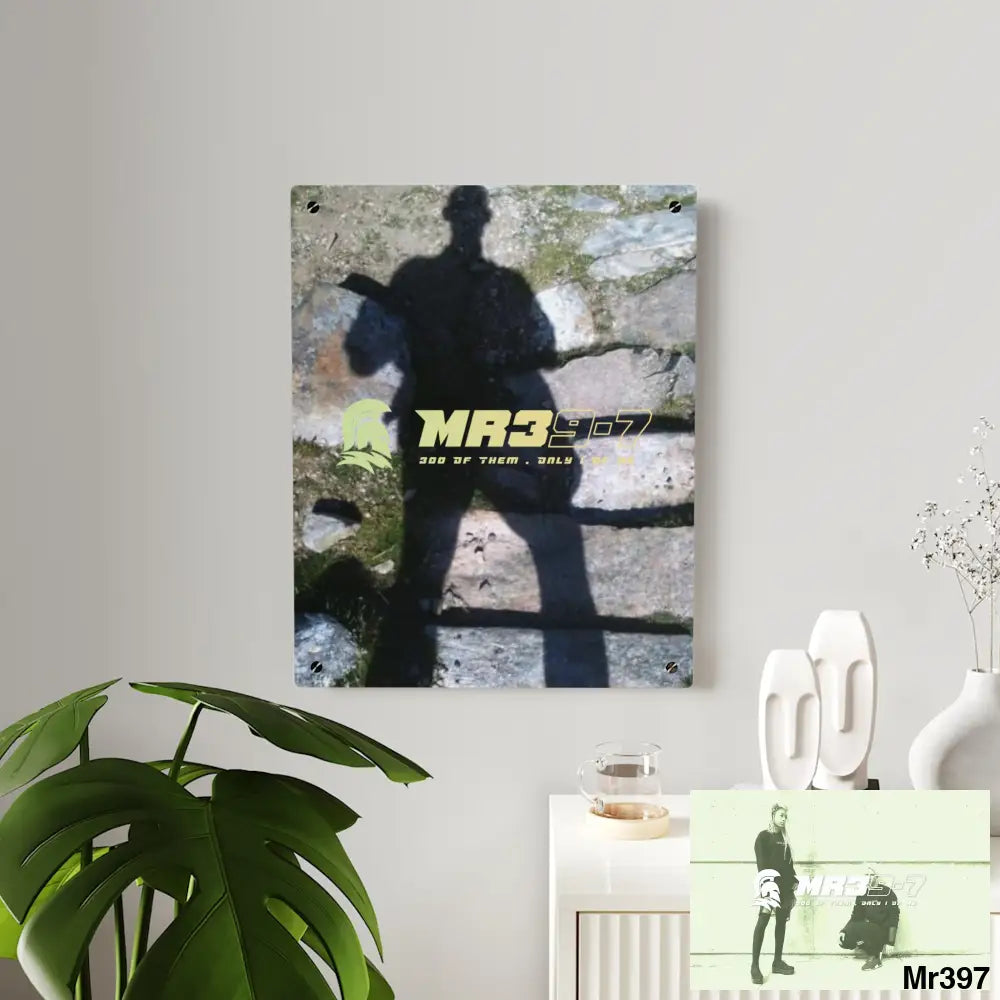 MR39-7 116lbs A1 man war on fk Ups Vigilante training 20X Cadair Idris Acrylic Wall Art Panels Home Decor