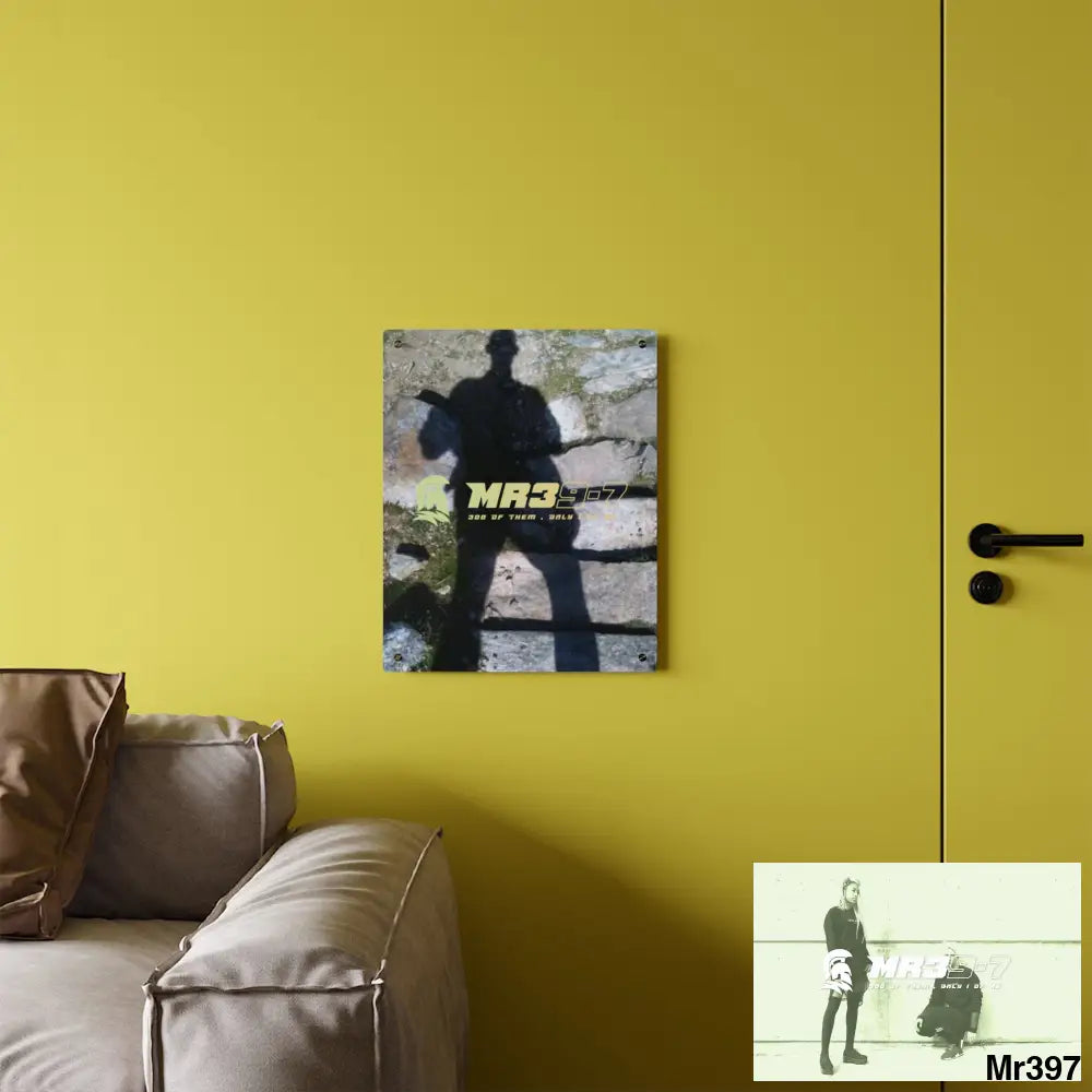 MR39-7 116lbs A1 man war on fk Ups Vigilante training 20X Cadair Idris Acrylic Wall Art Panels Home Decor