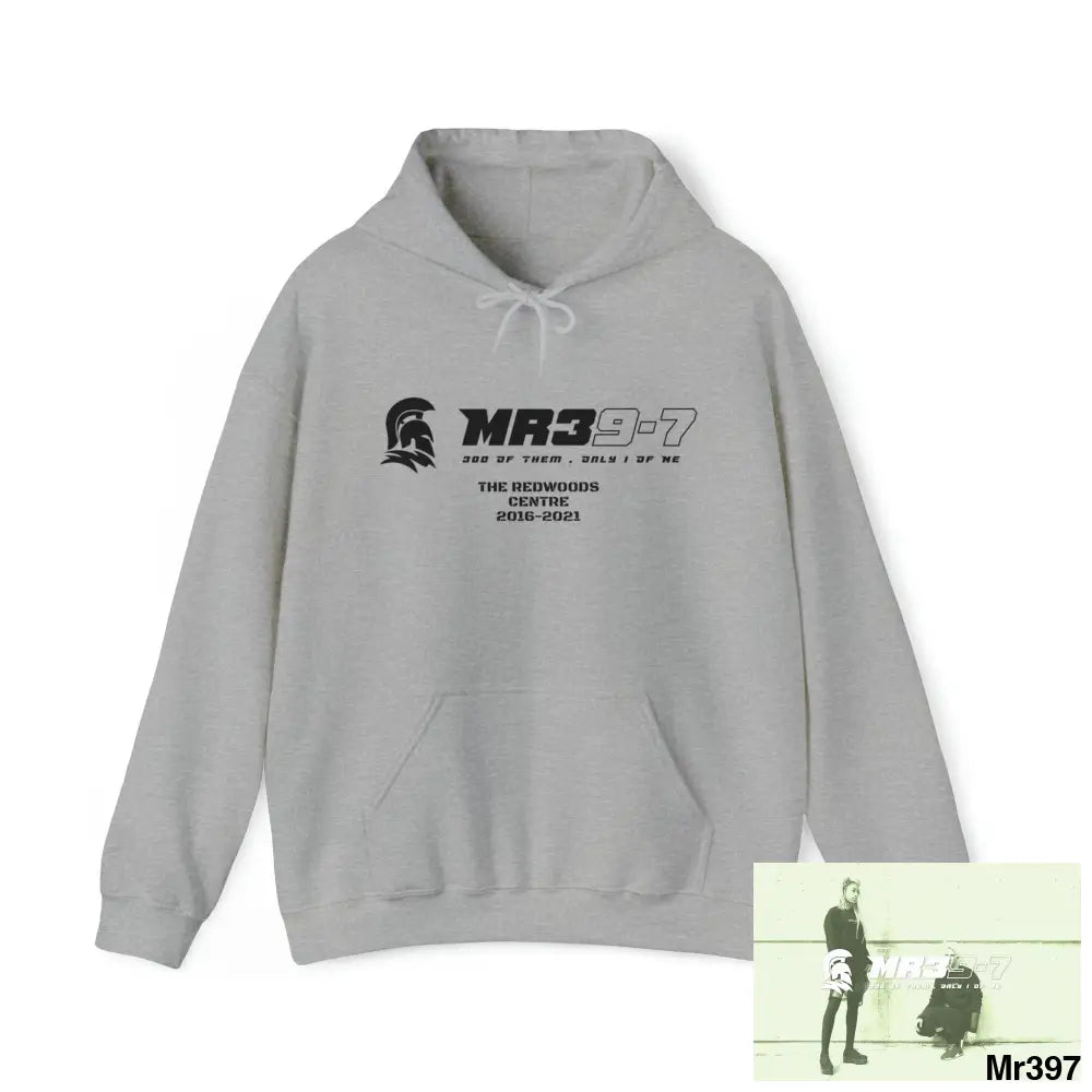 MR39-7 2016-21 A1-School I7.5 One flew over the Redwoods Centre Heavy Blend™ Hooded Sweatshirt Hoodie