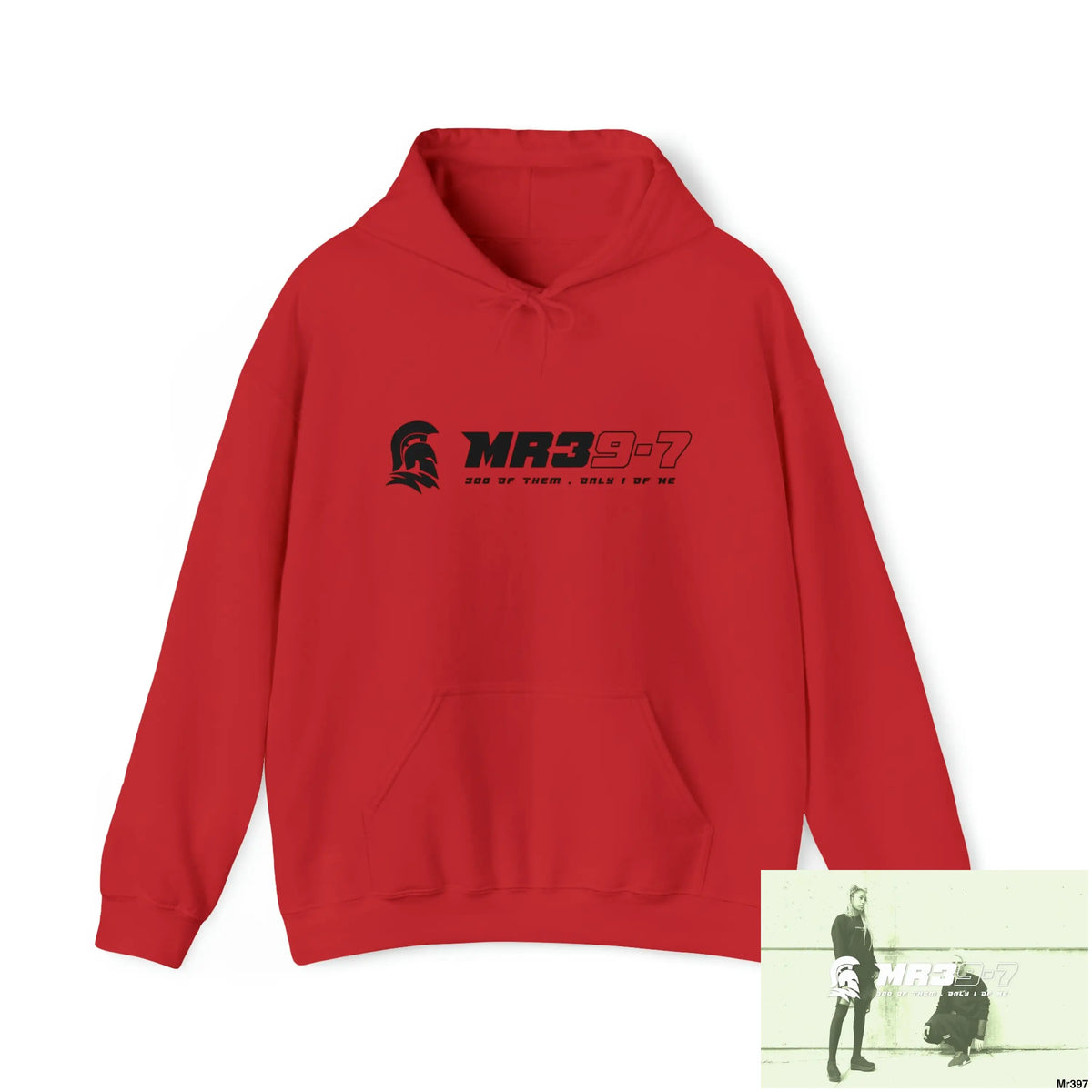 MR39-7 Egypt Dahab in Blind 2014 Heavy Blend™ Hooded Sweatshirt Red / S Hoodie