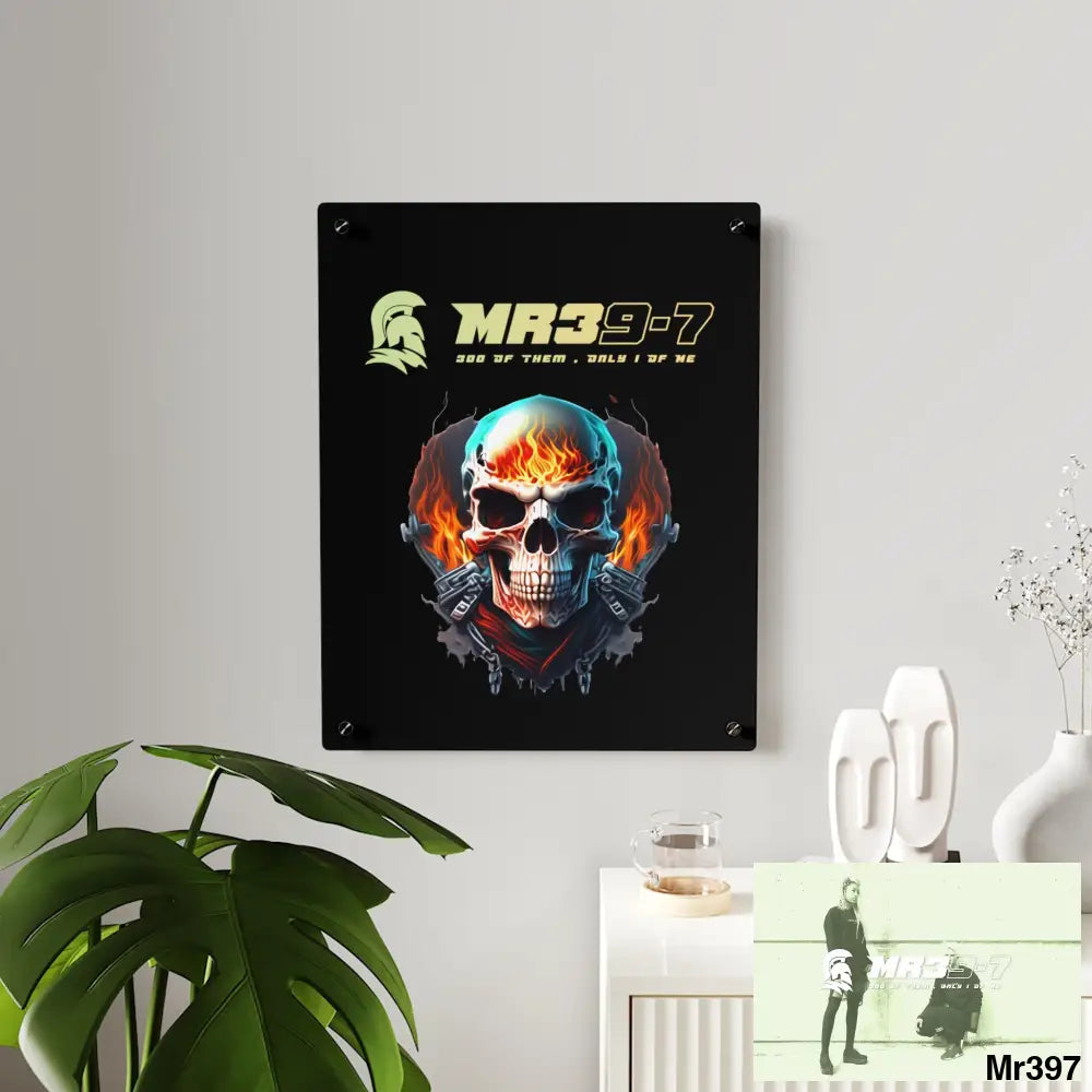 MR39-7 Flame Biker Skull Graphic Acrylic Wall Art Panels Home Decor