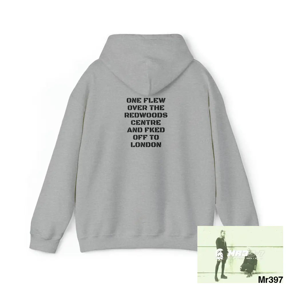 MR39-7 & MET humour - One flew over the Redwoods Centre & got tasered in London 2021 Heavy Blend™ Hooded Sweatshirt