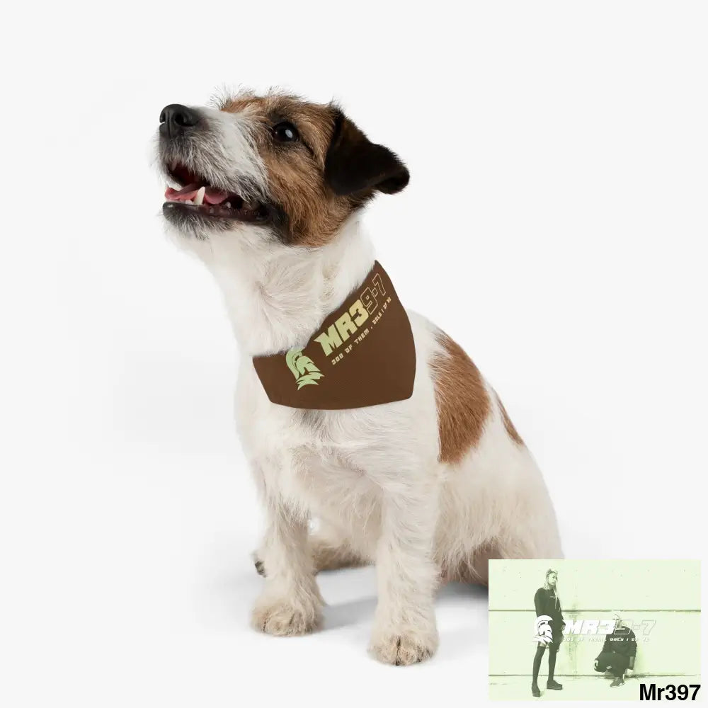MR39 Pet Bandana Collar Pets