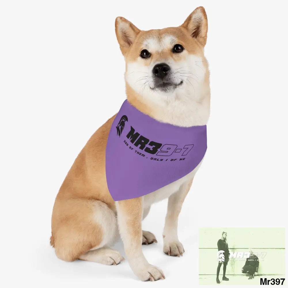MR39 Pet Bandana Collar Pets
