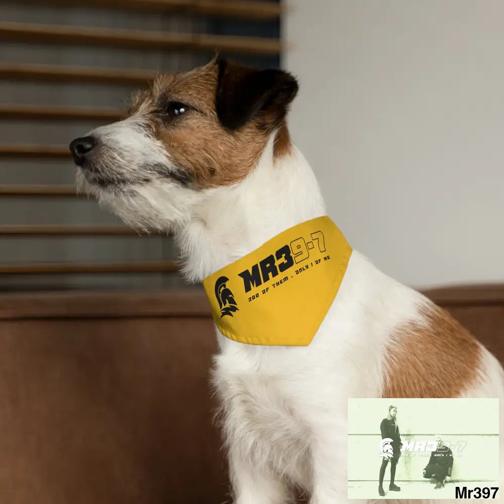 MR39 Pet Bandana Collar Pets