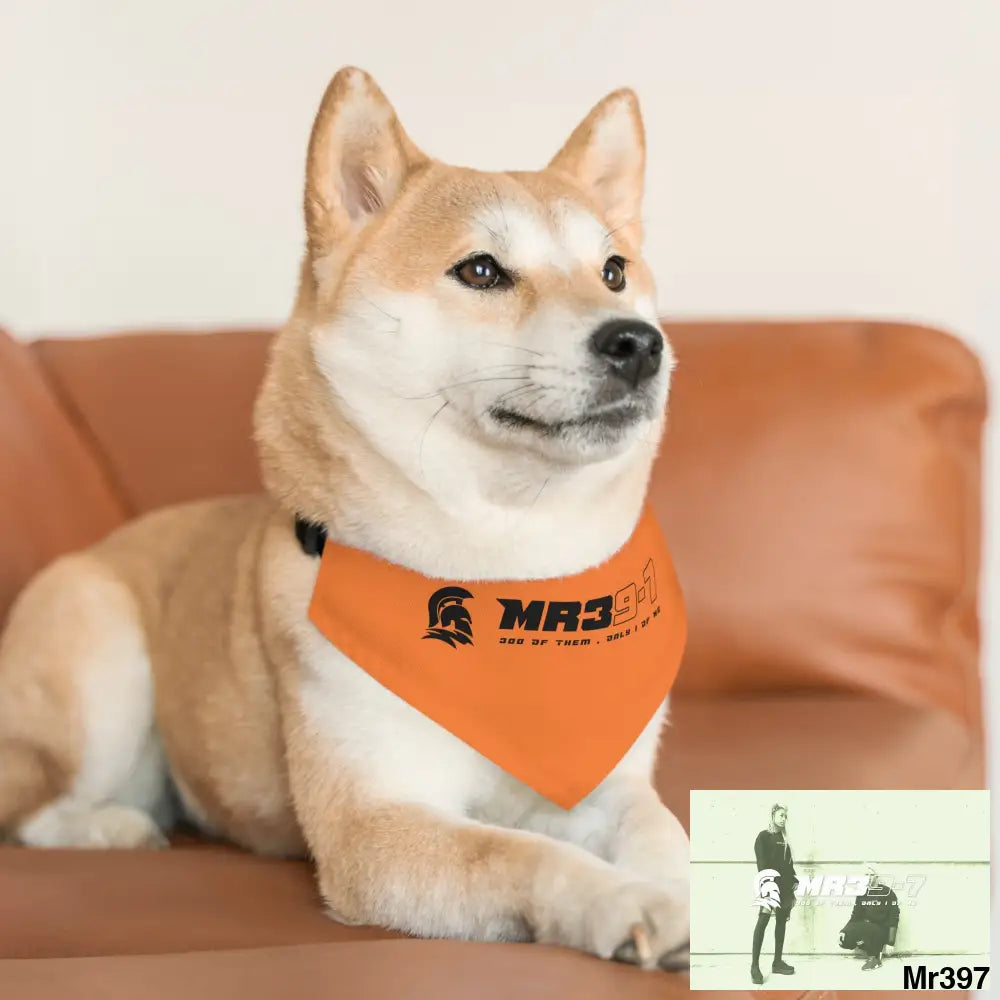 MR39 Pet Bandana Collar Pets