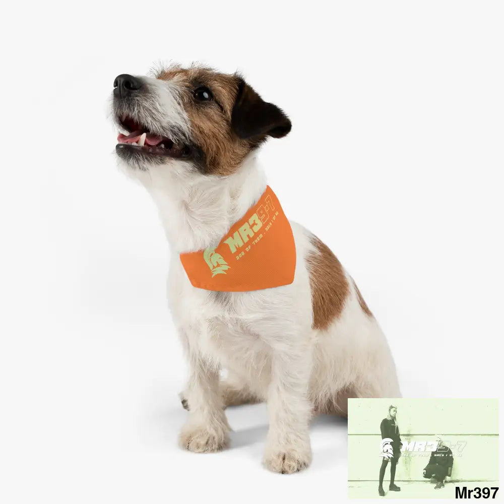 MR39 Pet Bandana Collar Pets