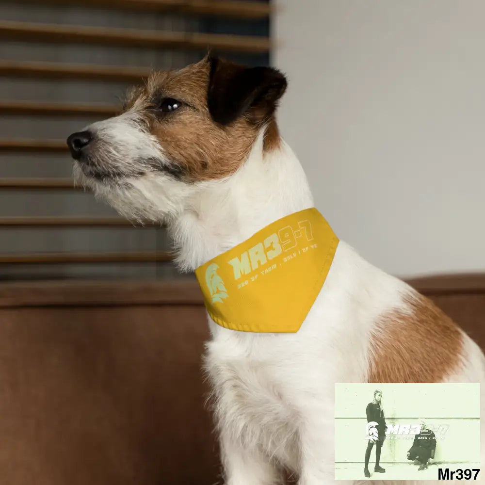 MR39 Pet Bandana Collar Pets