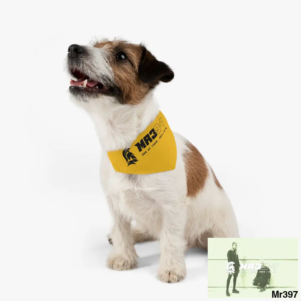 MR39 Pet Bandana Collar Pets