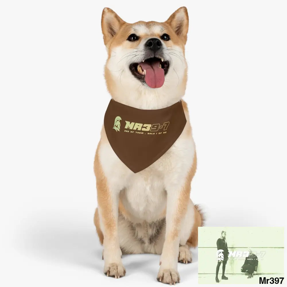 MR39 Pet Bandana Collar Pets