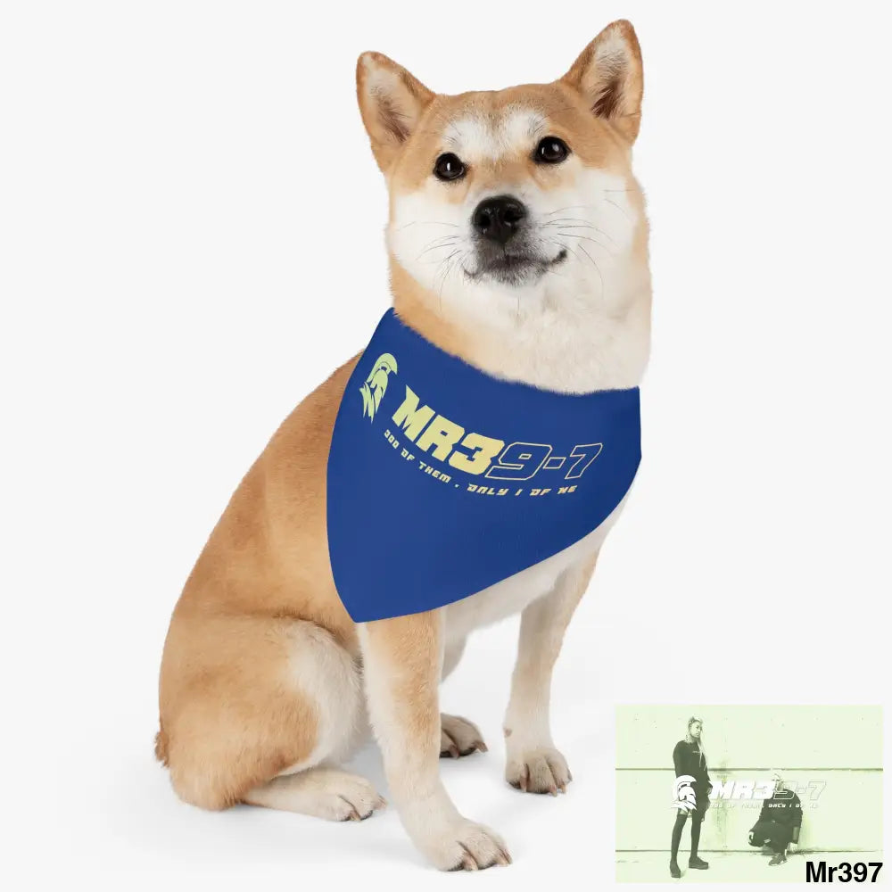 MR39 Pet Bandana Collar Pets