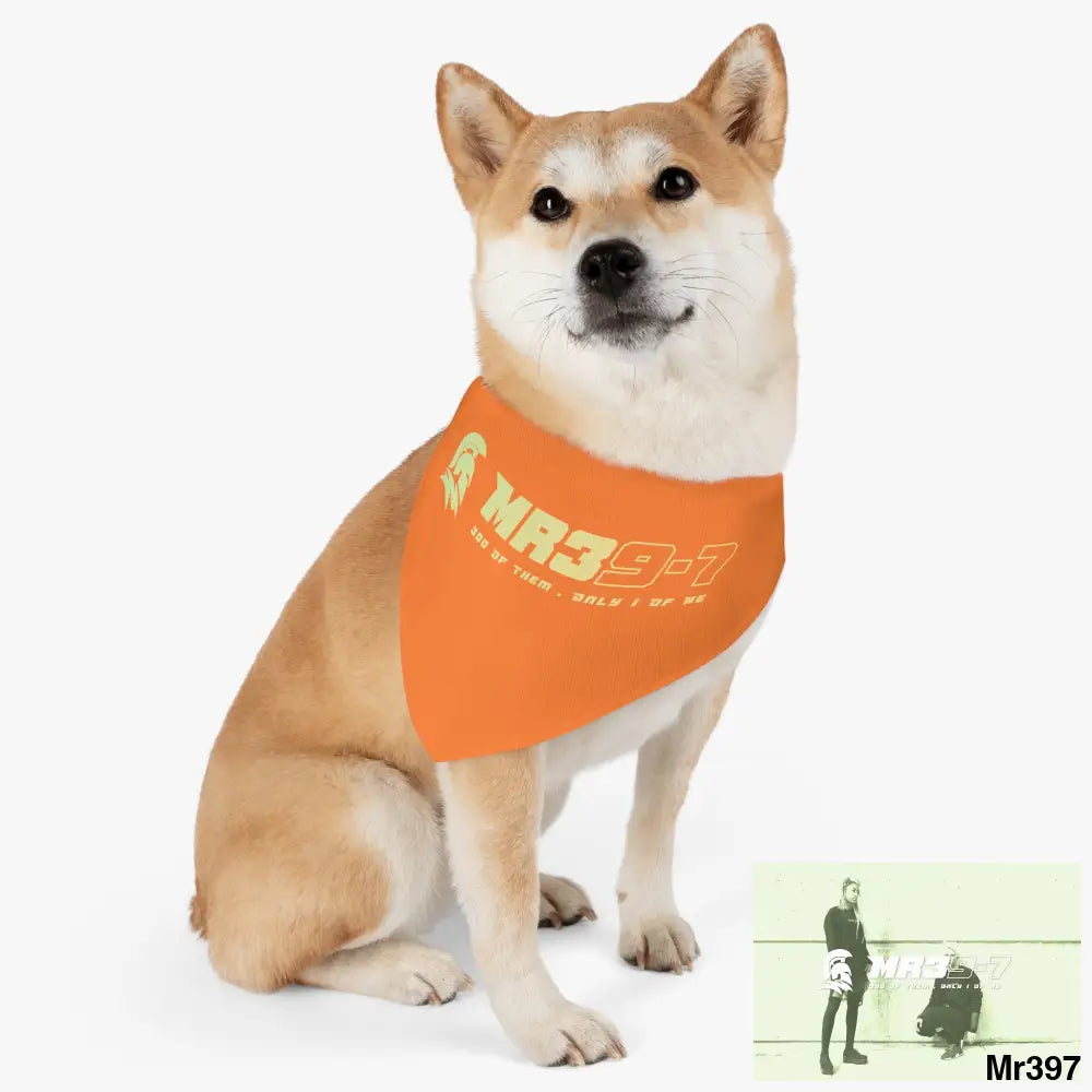 MR39 Pet Bandana Collar Pets
