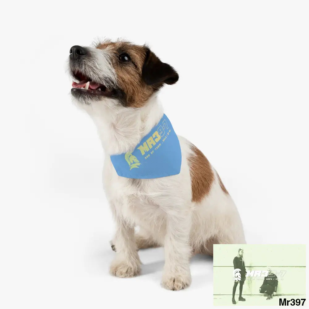 MR39 Pet Bandana Collar Pets