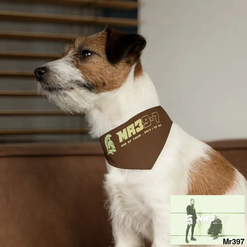 MR39 Pet Bandana Collar Pets