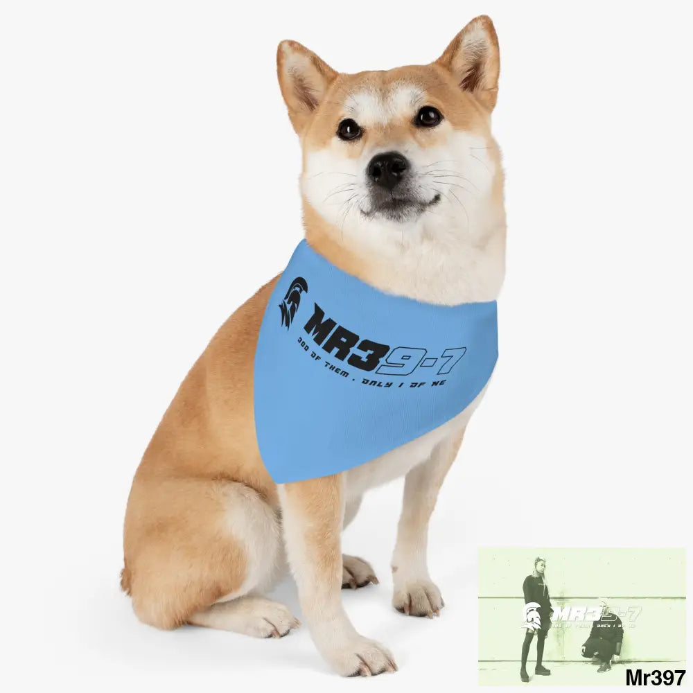 MR39 Pet Bandana Collar Pets