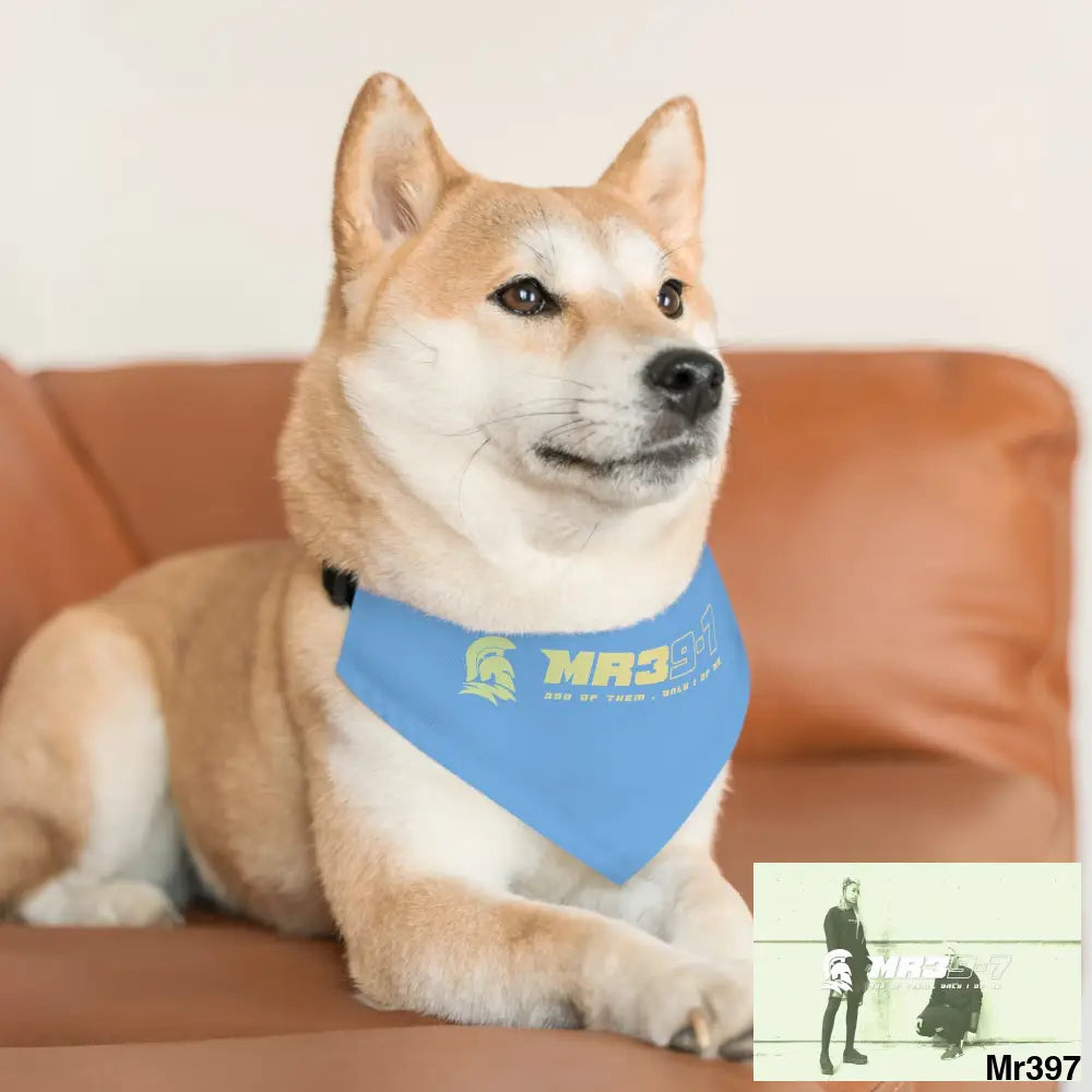 MR39 Pet Bandana Collar Pets