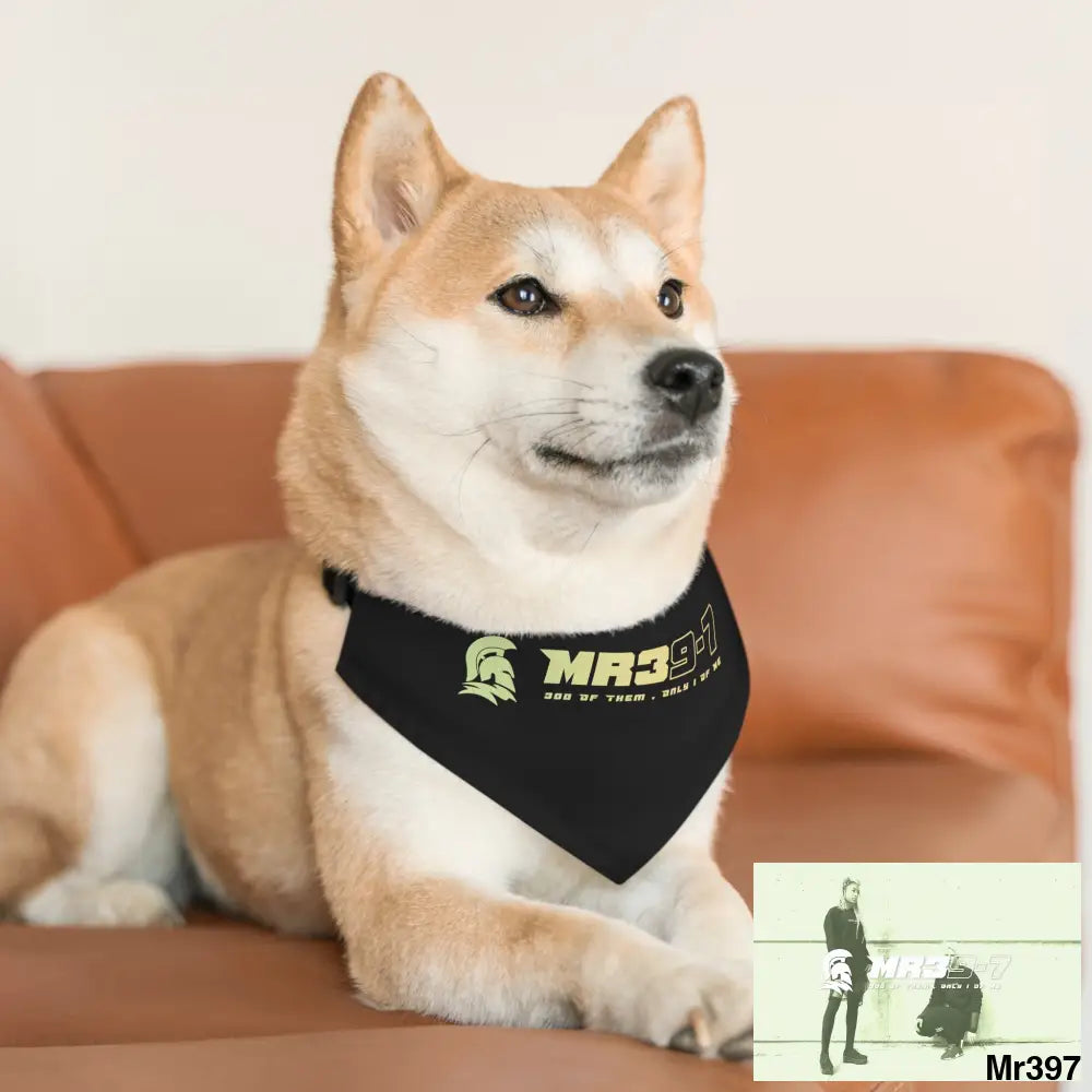 MR39 Pet Bandana Collar Pets