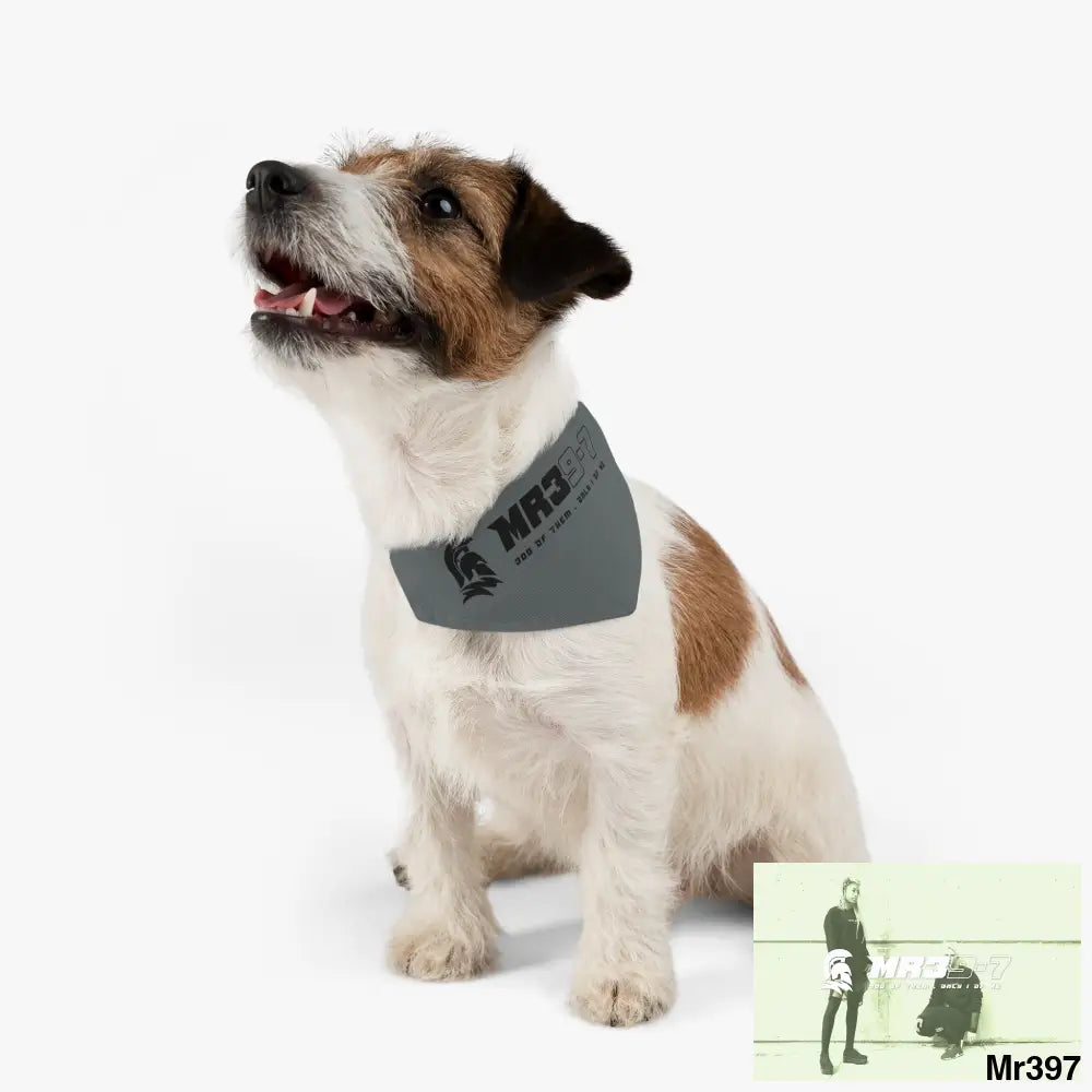 MR39 Pet Bandana Collar Pets