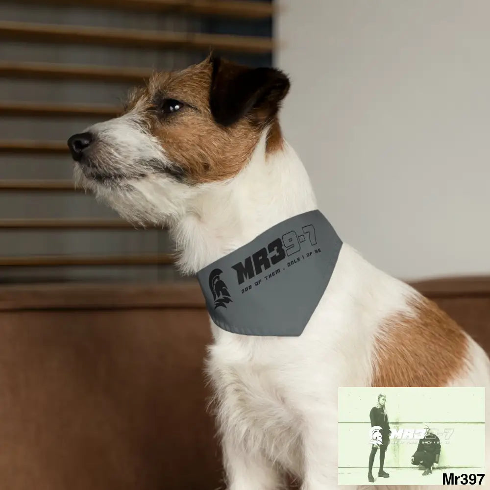 MR39 Pet Bandana Collar Pets