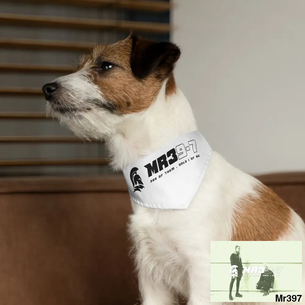 MR39 Pet Bandana Collar Pets