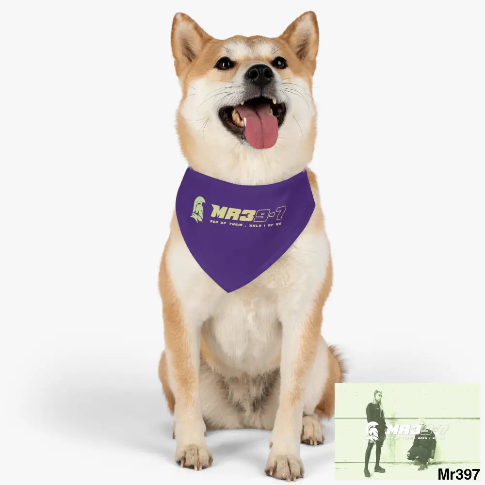MR39 Pet Bandana Collar Pets