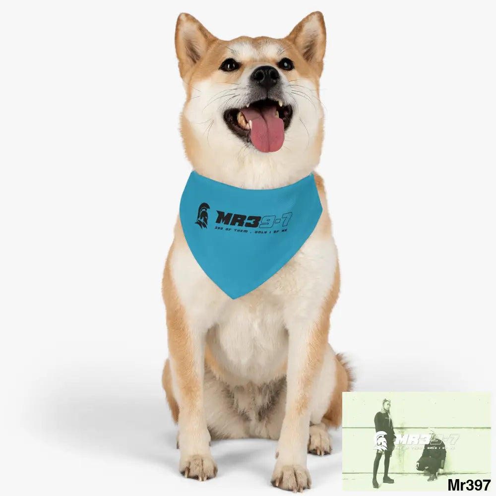 MR39 Pet Bandana Collar Pets