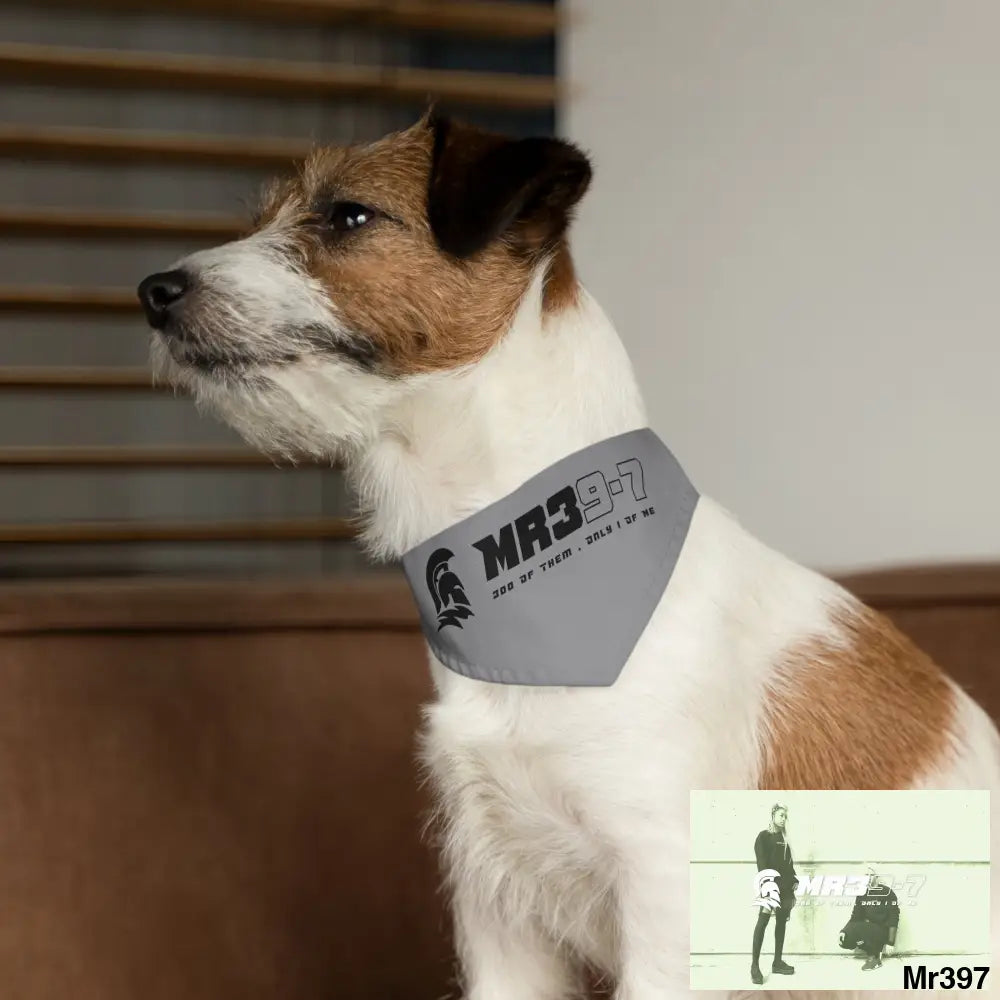 MR39 Pet Bandana Collar Pets
