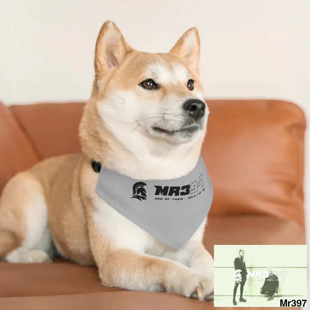 MR39 Pet Bandana Collar Pets