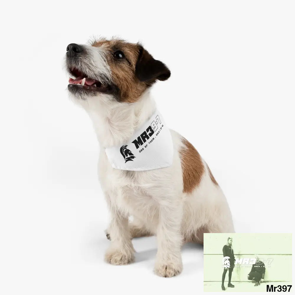 MR39 Pet Bandana Collar Pets