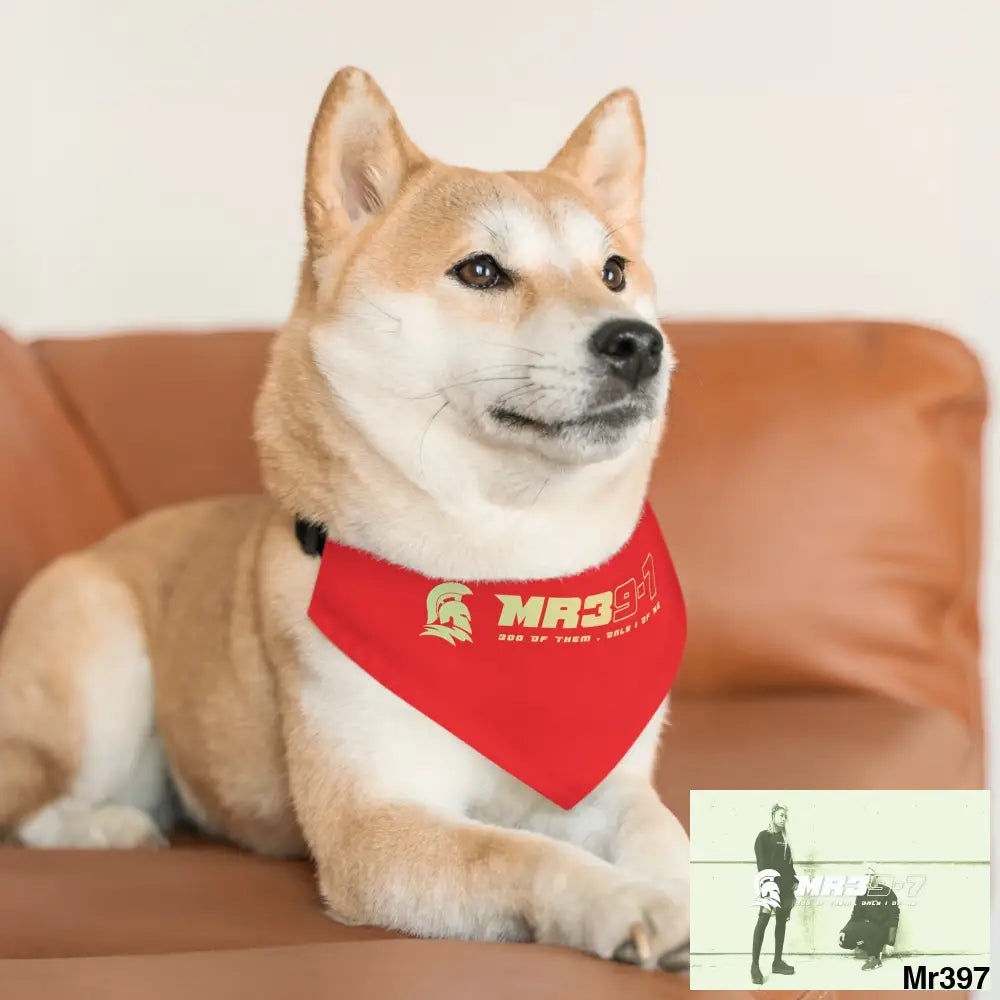MR39 Pet Bandana Collar Pets