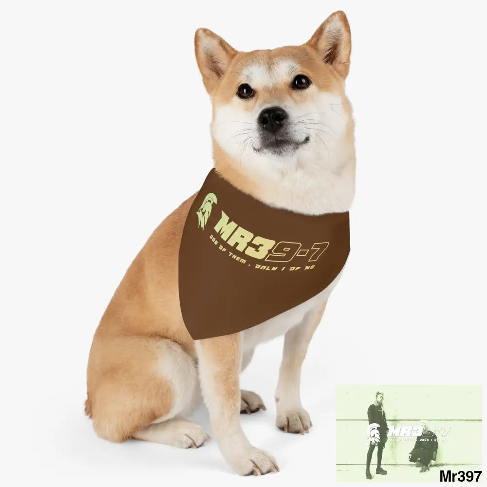 MR39 Pet Bandana Collar Pets