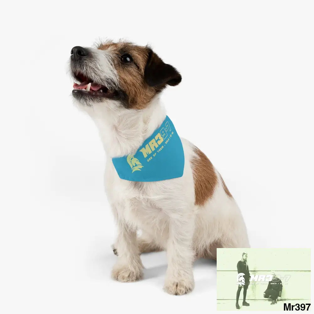 MR39 Pet Bandana Collar Pets