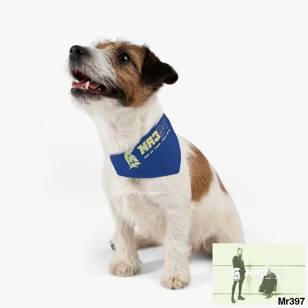 MR39 Pet Bandana Collar Pets