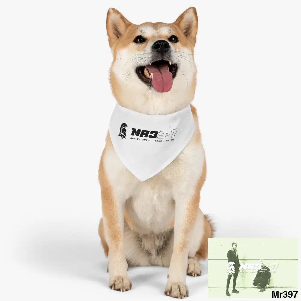 MR39 Pet Bandana Collar Pets