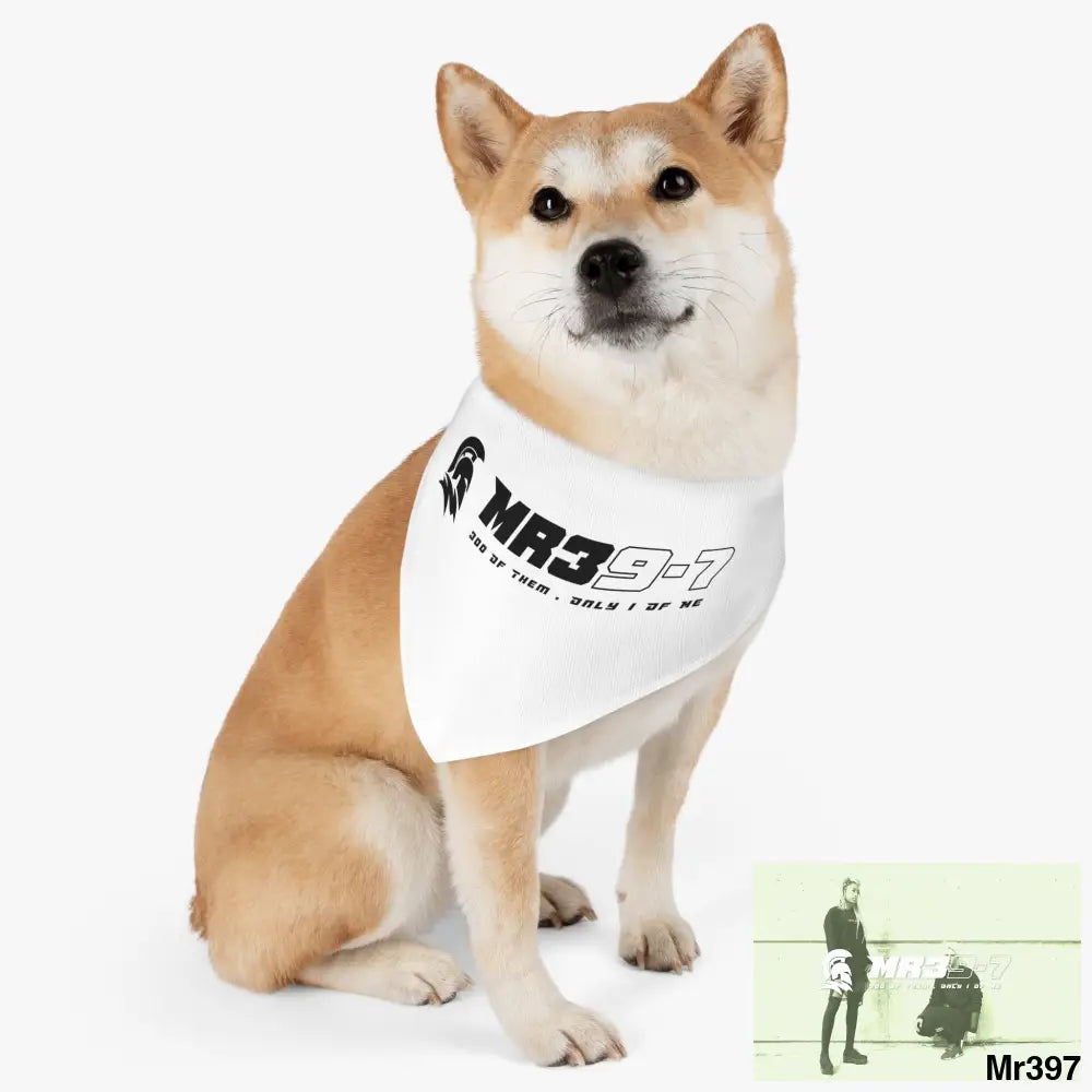 MR39 Pet Bandana Collar Pets