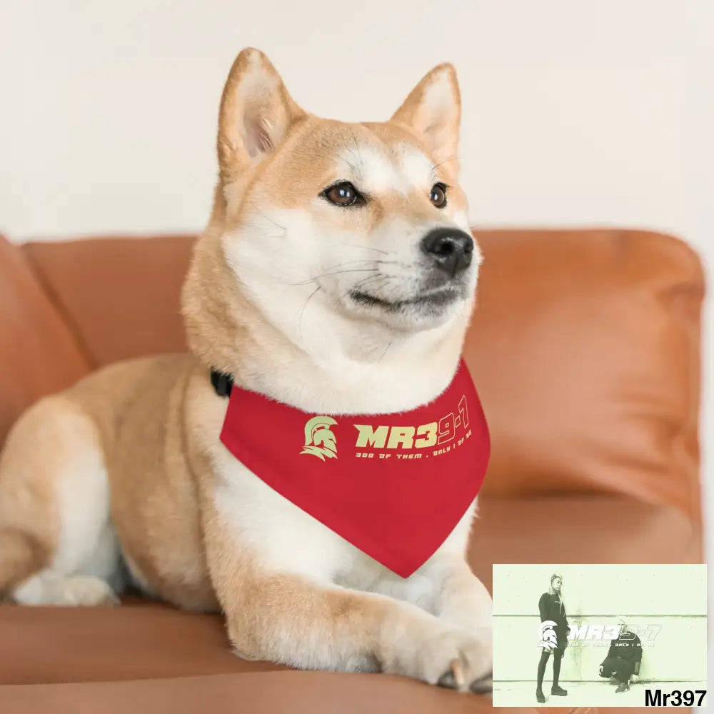 MR39 Pet Bandana Collar Pets
