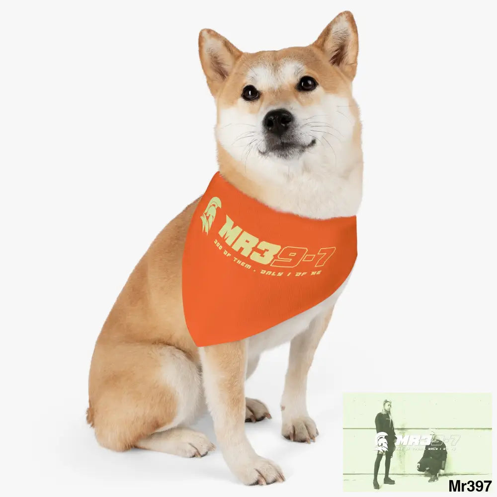 MR39 Pet Bandana Collar Pets
